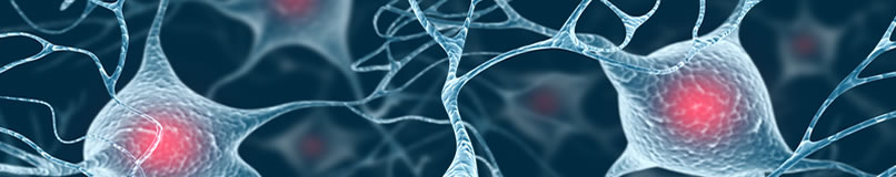 Gemeinschaftspraxis f&uuml;r Neurologie, Psychiatrie und Psychotherapie